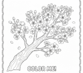 Kwitnące wiśnie na gałęzi do kolorowania