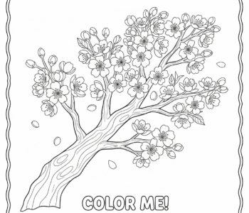 Delikatne kwitnące wiśnie