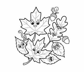 Różnorodność jesiennych liści