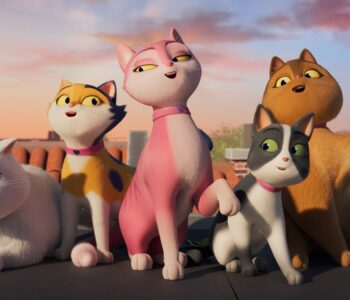 Miss Moxy. Kocia ekipa