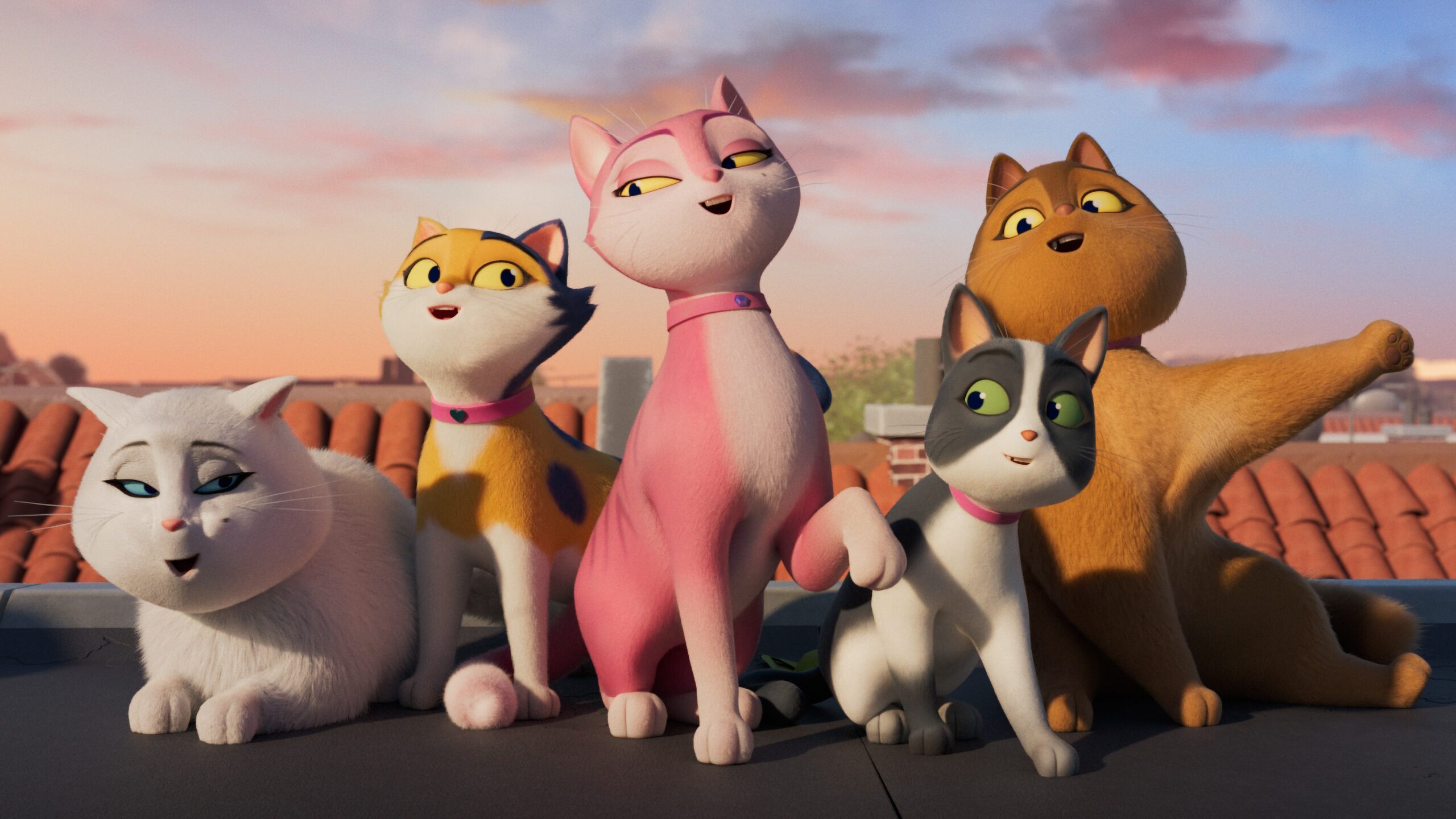 Miss Moxy. Kocia ekipa