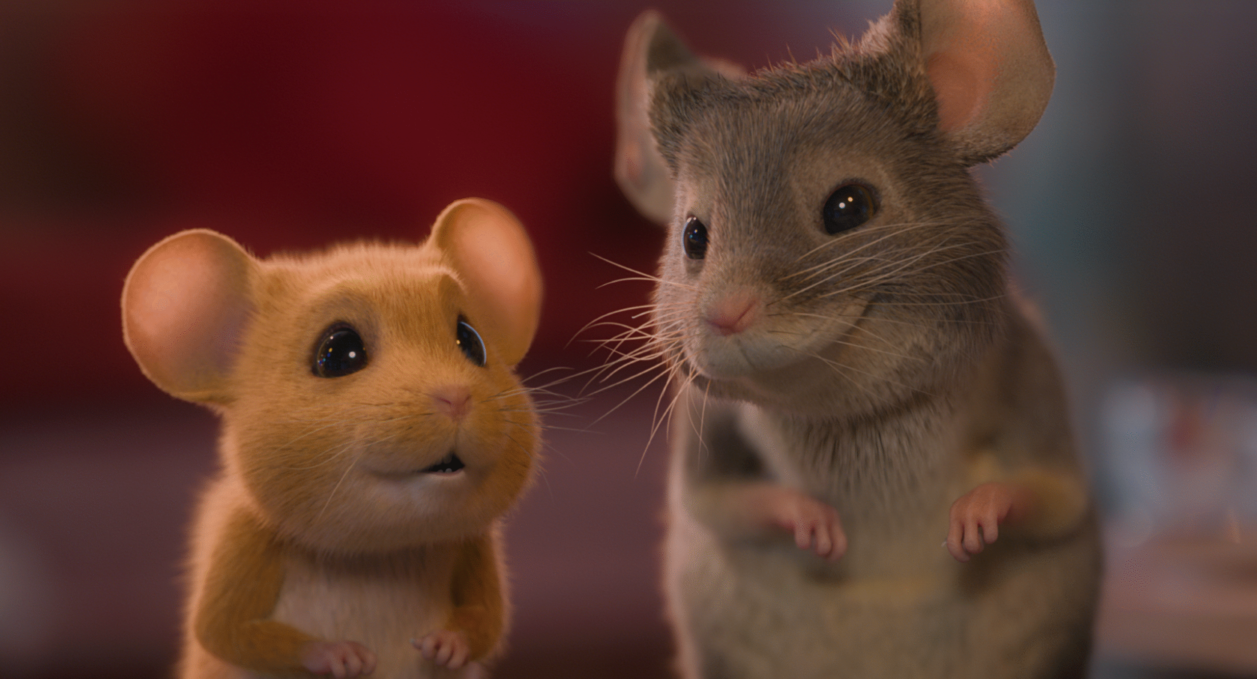 Mysz-Masz na Święta