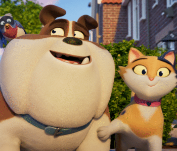 Miss Moxy. Kocia ekipa