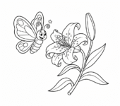 Przyjazny motyl lecący w stronę kwitnącej lilii wielkanocnej, kolorowanka dla dzieci, czarne kontury, białe tło.