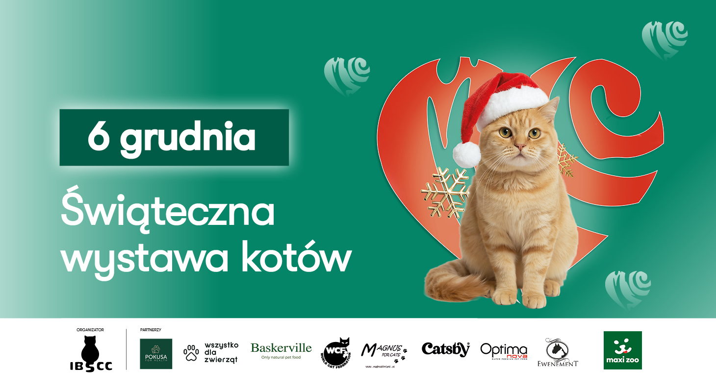 Mikołajki w Galerii Pomorskiej