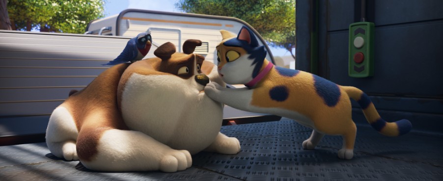 Miss Moxy. Kocia ekipa już od piątku 16 stycznia w kinach!