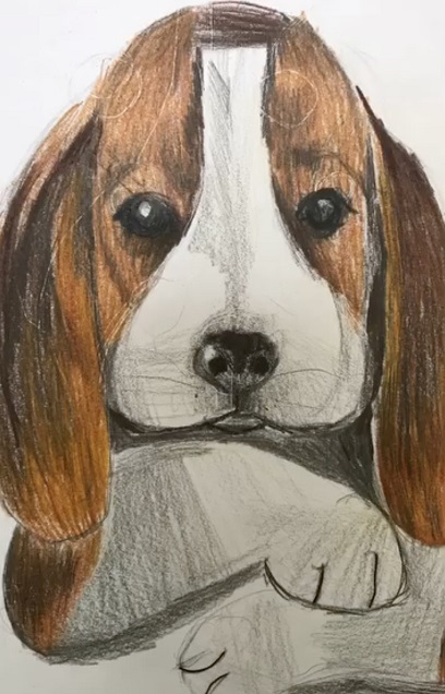 Dlaczego dzieci najchętniej rysują psa - i jak rysunek rozwija kreatywność?