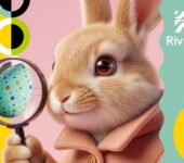 Andrzejkowe wróżby i spotkanie z pisarzem w Badecie