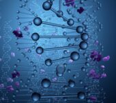 Czym są enzymy i jak wpływają na nasze zdrowie?