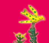 Wielka Moc | warsztaty dla rodzin z audiodeskrypcją i tłumaczeniem na PJM w MEK