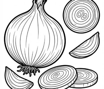 Cebula