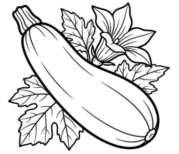 Cukinia