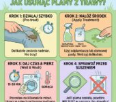 Infografika poradnikowa dla rodziców przedstawiająca skuteczne domowe sposoby na to, jak usunąć uporczywe plamy z traw...