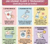 Infografika poradnikowa dla rodziców przedstawiająca skuteczne i sprawdzone domowe sposoby na to, jak usunąć plamy z t...