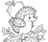 Uroczy jeż niosący jabłko na grzbiecie, spacerujący po opadłych liściach, kolorowanka dla dzieci, czarne kontury, bi...