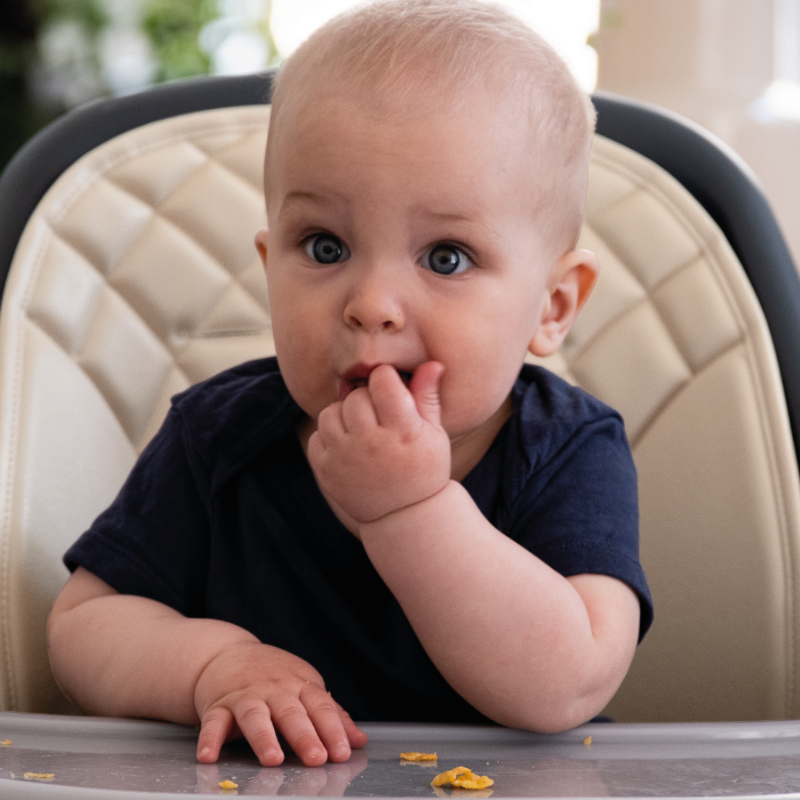 Krzesełko do karmienia