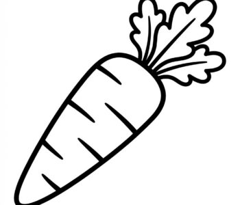 Marchewka