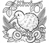 Czarno-biała kolorowanka do druku: kiwi, bez tła, tylko kontury. Idealna dla dzieci i dorosłych.