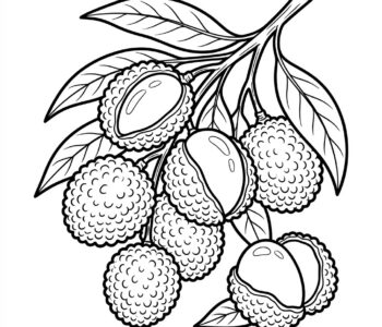 Liczi