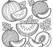 Kolorowanka melon do druku: czarno-biały rysunek melona z czarnymi konturami na białym tle, bez tła i tekstu.