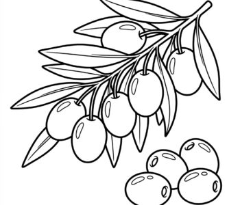 Oliwki