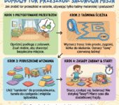Infografika dla rodziców: jak zrobić domowy tor przeszkód z taśmy malarskiej i poduszek. Kreatywna zabawa ruchowa dla ...