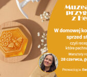 Działaj – Lato w Koperniku
