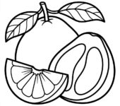 Kolorowanka Pomelo do druku: czarno-biały rysunek bez tła, tylko kontury, gotowy do pobrania i pokolorowania.