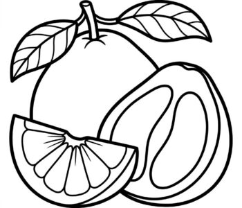 Pomelo