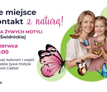 Świdnicka_wystawa motyli