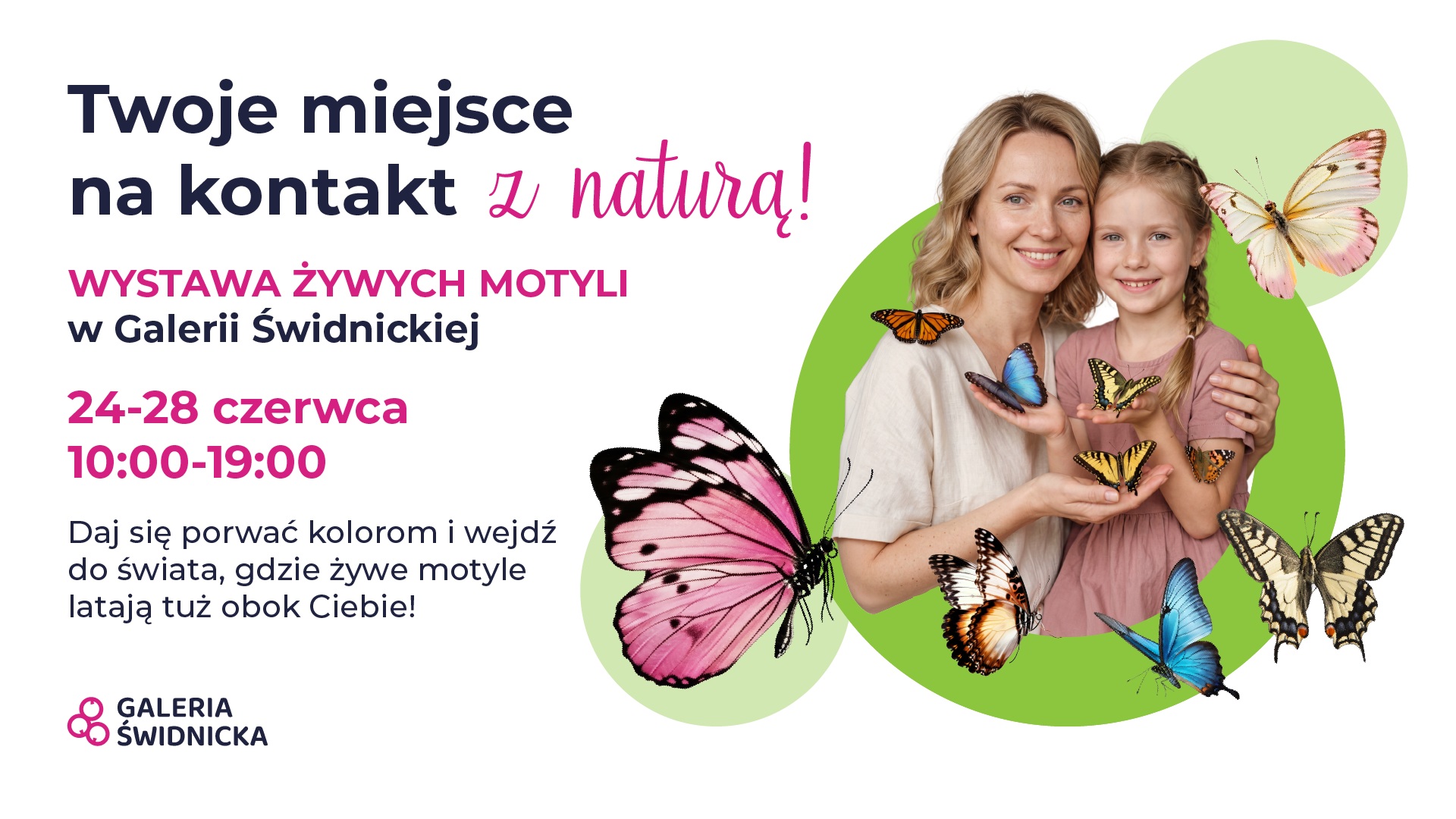 Wystawa żywych motyli w Galerii Świdnickiej