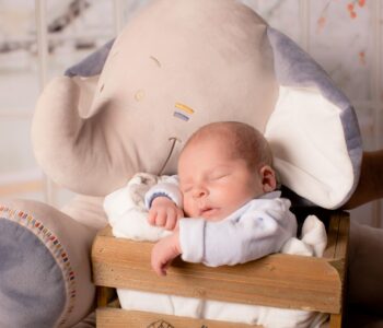Inside a Modern Baby Bed Factory: Insights from Clafbebe