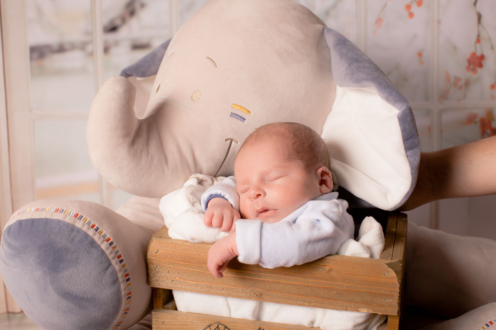 Modern Baby Bed Factory