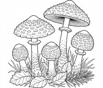 Czubajeczka