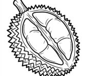 Kolorowanka Durian do
