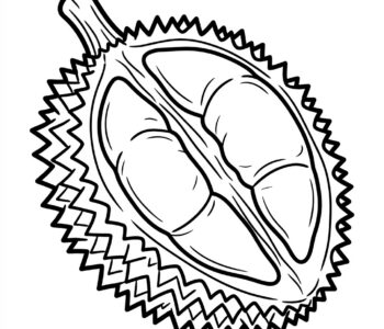 Durian