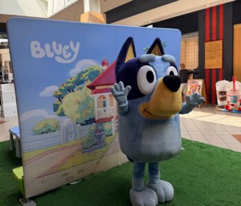 Back to school z Bluey. Galeria Łomianki zaprasza na pełen zabawy powr&oacute;t do szkoły