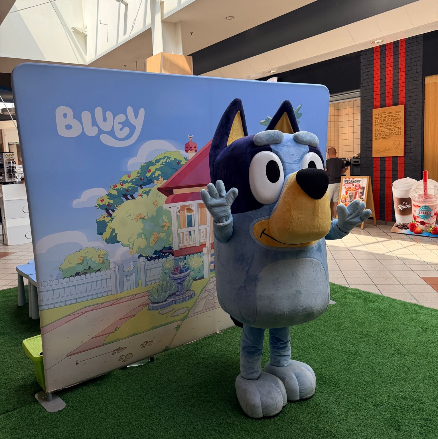 Back to school z Bluey. Galeria Łomianki zaprasza na pełen zabawy powrót do szkoły