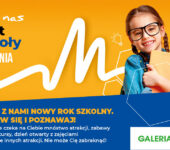 21. Giełda Zabawek Używanych. Gliwice