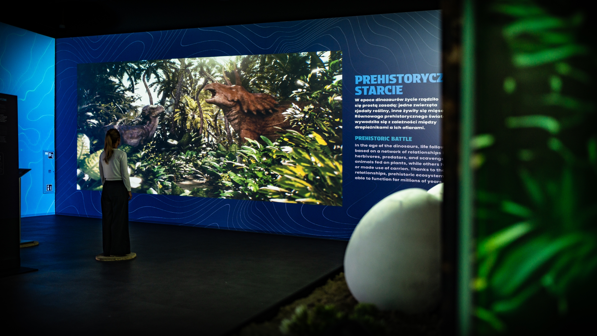 ART_BOX_DINO_EXPERIENCE