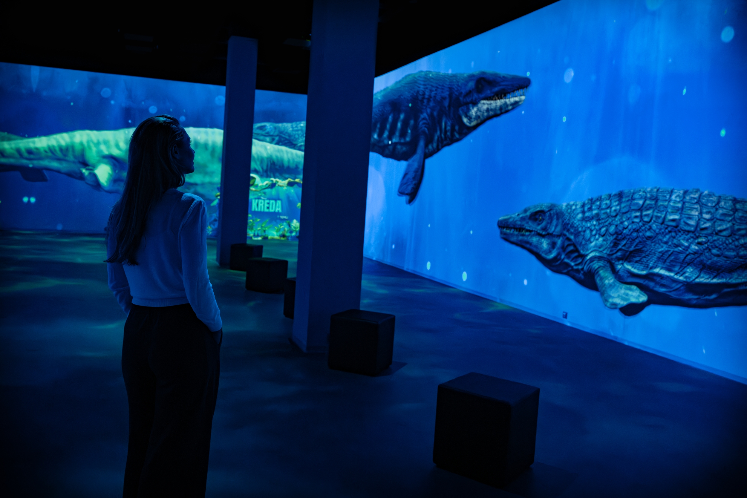 ART_BOX_DINO_EXPERIENCE