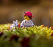 Klocki wkraczają w nową erę. Pokémony i interaktywna zabawa w świecie LEGO