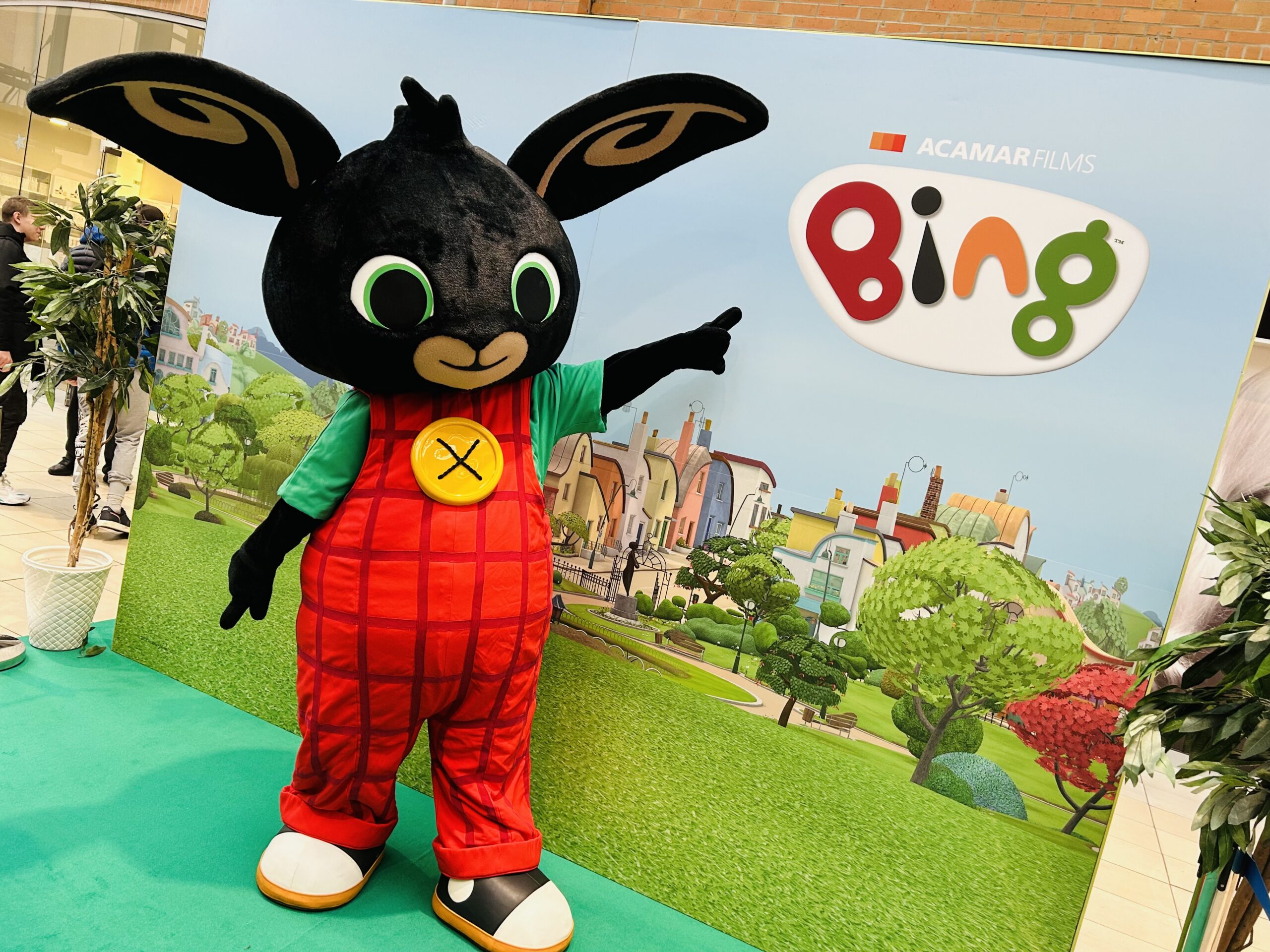 Bing w Galerii Pomorskiej